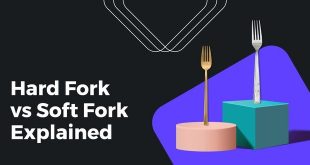 hard-fork-vs-soft-fork