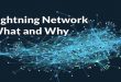 lightning-network-guide