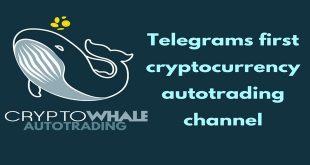 cryptowhale-review
