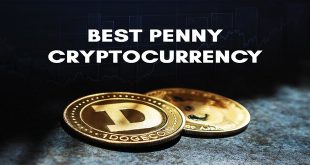 penny-cryptocurrency-investment