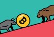 crypto-bear-bull-market