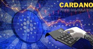 easy-cardano-profit-calculator