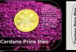 cardano-price-rise