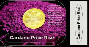 cardano-price-rise