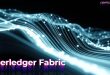 hyperledger-fabric