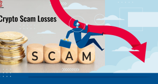 crypto-scam-losses