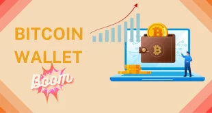 bitcoin-wallet-boom